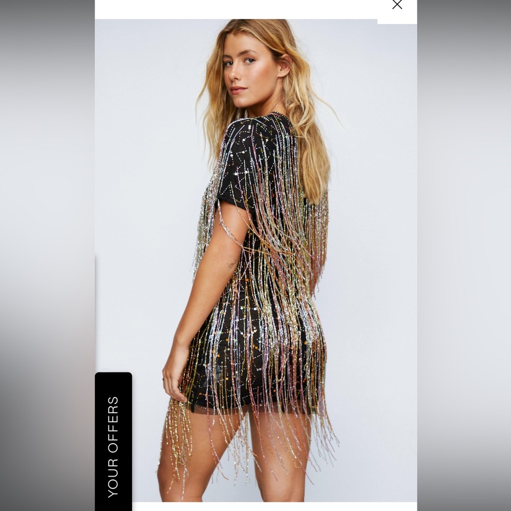 Beaded Fringe Dress - Picture 4 of 6